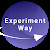 Experiment Way